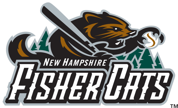 New Hampshire Fisher Cats 2004-2007 Primary Logo iron on transfers for T-shirts